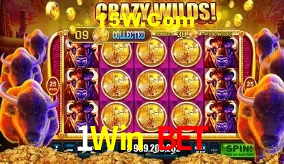 cassino 1Win Bet